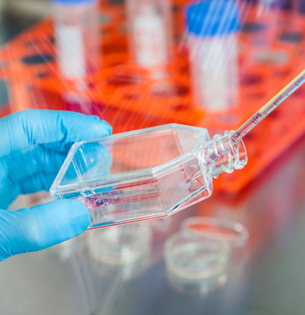 Scientist working with a cell culture flask under sterile hood at laboratory